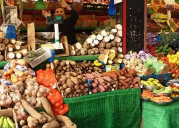Remittances: A lifeline for food security