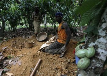 1 in every 10 cocoa farmers approached by galamseyers to sell their lands for illegal mining