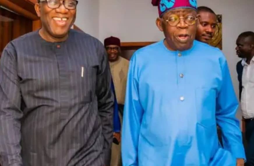 Dr Fayemi will be “an excellent choice" for Chair of AU Commission - PABF to appeals to Prez Tinubu