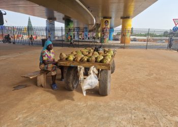 [Photo] Hawker returns to her former spot under newly commissioned Flowerpot interchange