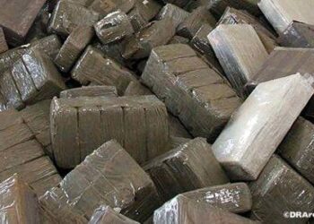 Spain Dismantles Two Hashish Trafficking Networks with Morocco’s Collaboration Madrid