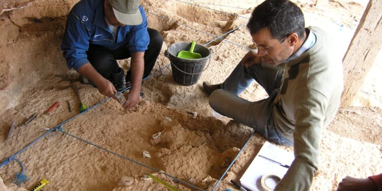 Human Fossils Unearthed in Casablanca Shed New Light on a Key Phase of Human Evolution
